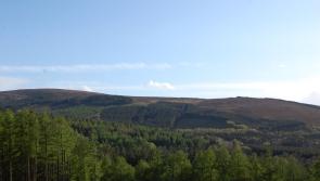 Charity fundraisers to tackle peak in Offaly mountains in epic challenge 