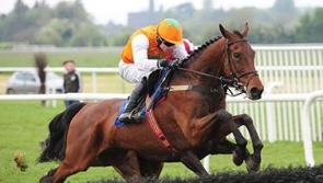 Irish Grand National Tips - Three horses worth backing in the feature race at Fairyhouse