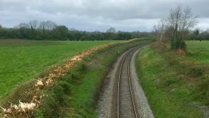 Rail campaign group presents survey results to the National Transport Authority