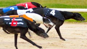 Cesarewitch race heats up during second round at Mullingar 