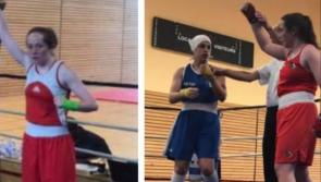 Three Offaly boxers through to national finals in style 