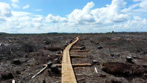 Plan to seek funding for creation of bog trails in Lower Ormond