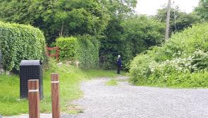 Garda update on questioning of murder suspects in Laois and Offaly