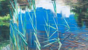 Offaly artist to unveil stunning new exhibition in Tullamore