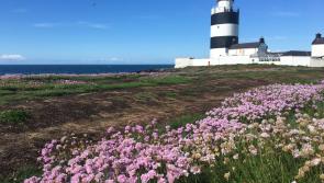 JOBS ALERT: Fancy painting lighthouses around the coast of Ireland? 