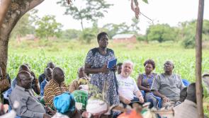 GALLERY: Offaly charity worker travels a long way to East Africa to tackle climate change