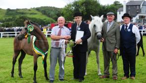 Offaly All-Ireland winner produces champion foal at Connemara Show
