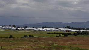 WATCH: Everything you need to know about the Ploughing from tickets to the weather 