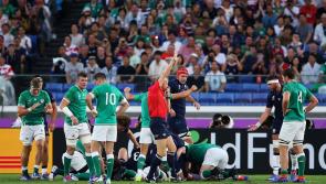 Ireland's report card after a disappointing Rugby World Cup 