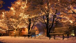 Offaly man pens beautiful Christmas poem