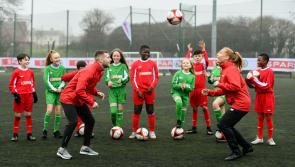 Offaly schools urged to take part in FAI 5s playing programme 