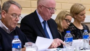 Laois Offaly TD wants to investigate 'value for money' of 'super junior' ministers including Offaly Senator