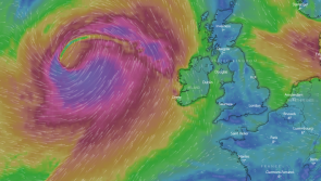 'Risk of snow' next week in wake of Storm Ellen - forecaster