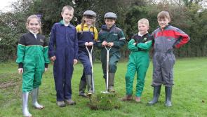Final Push for Offaly School Sponsor-a-Sod campaign 