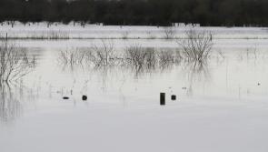 Call for one Shannon Authority to tackle flooding