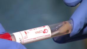Tullamore Hospital reports increasing levels of Covid-19 amid alert to patients