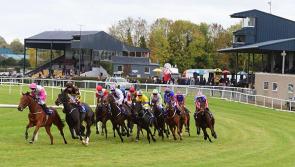 Lowry welcomes increased funding for horse and greyhound racing