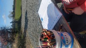 Juggling home-schooling, working from home and managing general household chaos