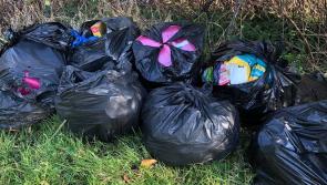 New technology to tackle illegal dumping on the way - Lee