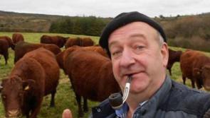 10 differences between Offaly townies and culchies