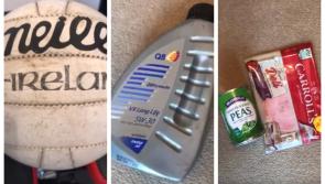 WATCH: Man's Offaly coronavirus isolation team is hilarious 