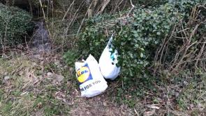 Offaly councillor slams rubbish found along roadside 