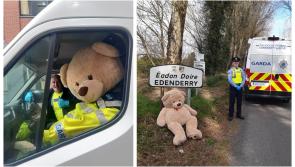 Offaly's Ted goes missing for months, joins the guards and goes viral