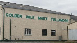 Offaly mart plans to develop virtual bidding system within weeks