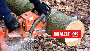 JOBS: Experienced timber cutter required in the Laois-Offaly area 
