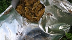 Gardai find over €1 million of cannabis in a ditch in the Midlands 