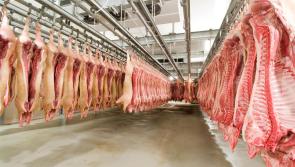 SIPTU wants faster implementation of Covid-19 Committee recommendations on meat industry