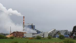 Bord na Mona chief says lay-offs go ahead despite planning decision