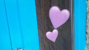 Offaly Domestic Violence Support Group records 30pc increase in calls during Covid-19 crisis
