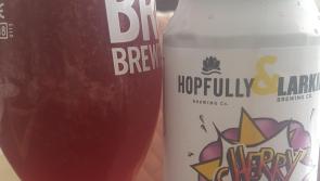 CRAFT BEER REVIEW: Cherry picking your favourite brew can leave a sour taste in the mouth