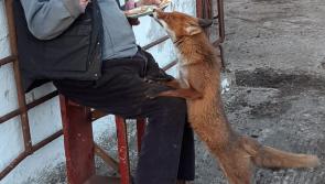 Feed me please Tony!