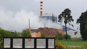 Bord na Mona strike fears ease as ballot is deferred