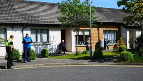 Offaly 'Communities: Together Yet Apart' brings welcome cheer to young and old