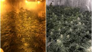 Gardai raid cannabis grow house detected in Midlands
