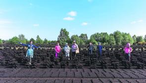 Bog pictures wanted! Show us what's to see working on Costa Del Sod this year 