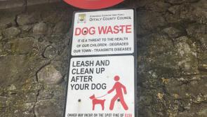 Increase in dog fouling noted during Covid-19 pandemic 