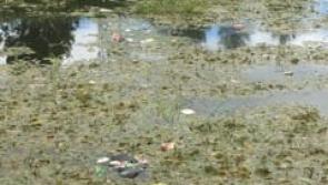 Offaly river 'full of rubbish and rats' 