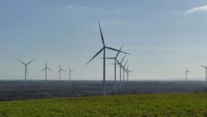 It could be you: Bord na Mona seek owner of Offaly land