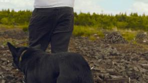  Film highlighting Offaly's links to peat  to feature as part of Galway Film Fleadh