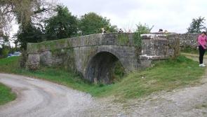 Work on Grand Canal cycle track at advanced stage
