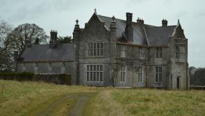Offaly landmark on list of ten most at risk historic  buildings in Ireland