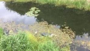Offaly councillor wants to set the record straight