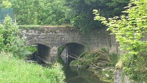 Wetland amenity plan for Offaly river gets go ahead