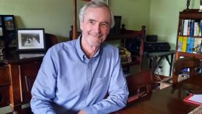  New book by Offaly author tells story of the Law of the Innocents
