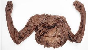 2,000 year old Offaly bog body inspires new tour