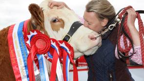The 'NO Show Day' was marked by Tullamore event's organisers